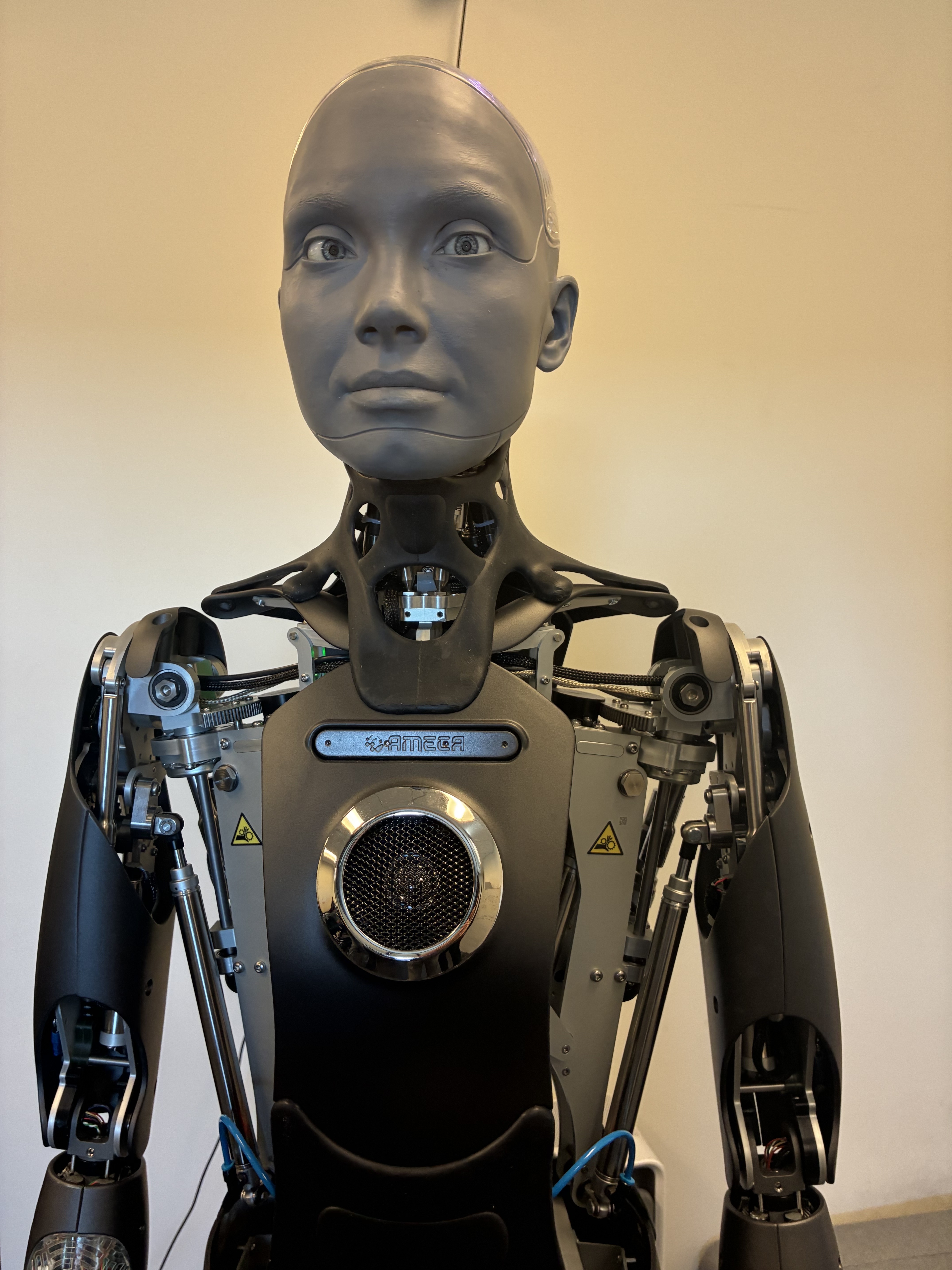 The Ameca humanoid robot, a grey articulated face and exposed mechanical torso, standing against a pale wall